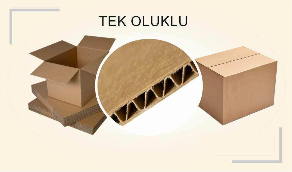 Koli Gurubu